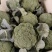 （西兰花）湖北荆州蔬果合作社，基地生西兰花，品质好。