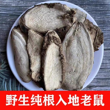 入地老鼠中药材野生紫茉莉花干货钻地老鼠根