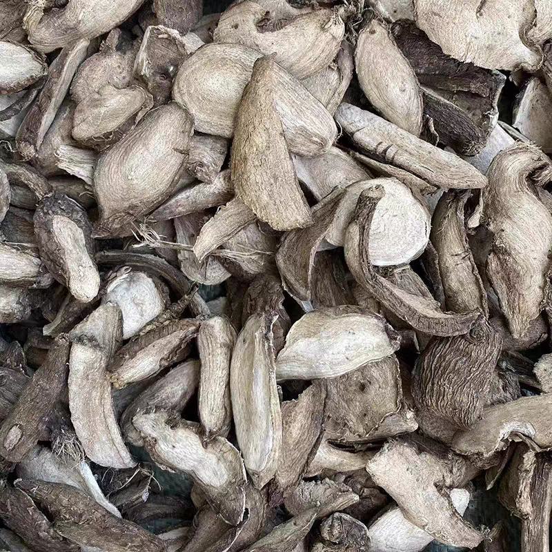 入地老鼠中药材野生紫茉莉花干货钻地老鼠根