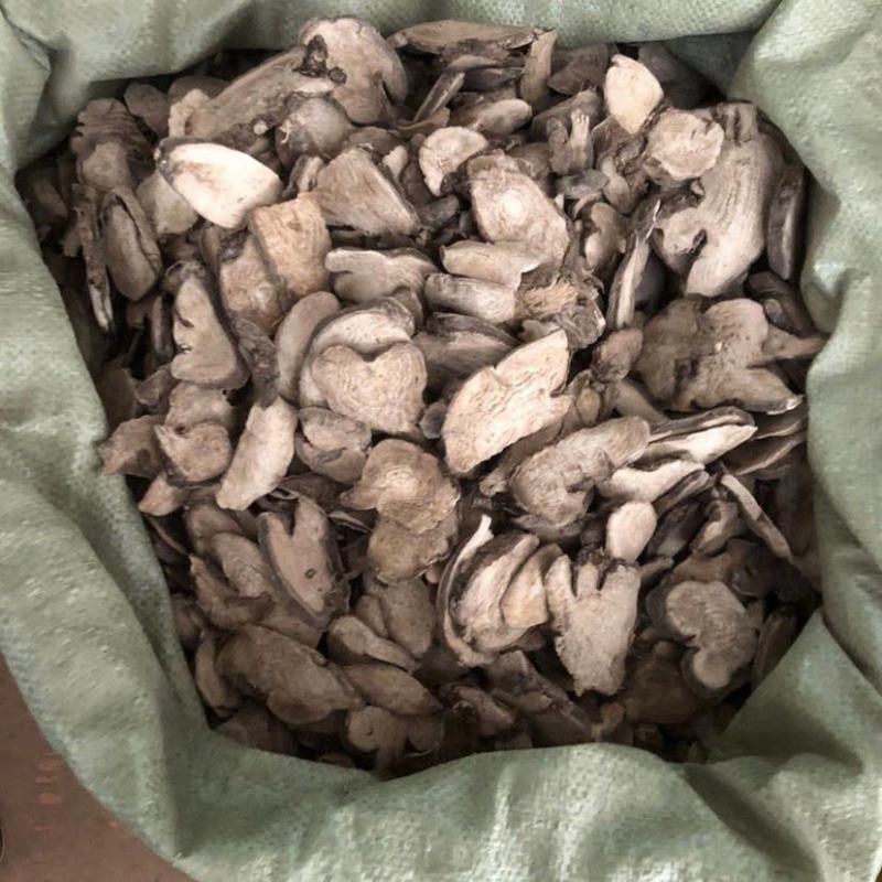 入地老鼠中药材野生紫茉莉花干货钻地老鼠根