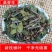 桑寄生药材500g广西深山桑寄生中药材新货桑寄生茶桑寄生