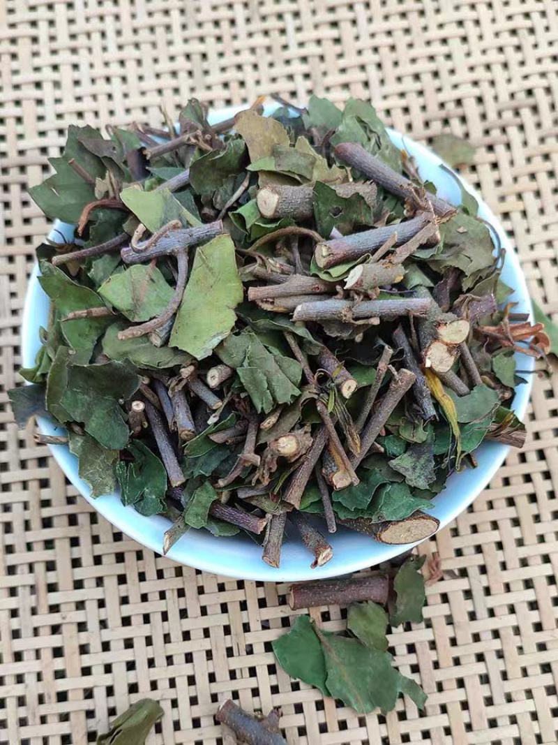 桑寄生药材500g广西深山桑寄生中药材新货桑寄生茶桑寄生