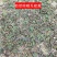 桑寄生药材500g广西深山桑寄生中药材新货桑寄生茶桑寄生
