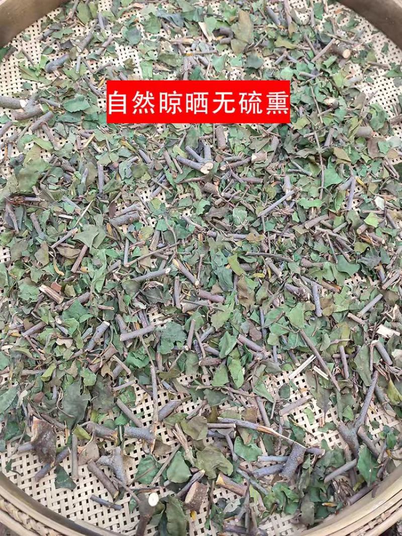 桑寄生药材500g广西深山桑寄生中药材新货桑寄生茶桑寄生