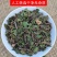 桑寄生药材500g广西深山桑寄生中药材新货桑寄生茶桑寄生