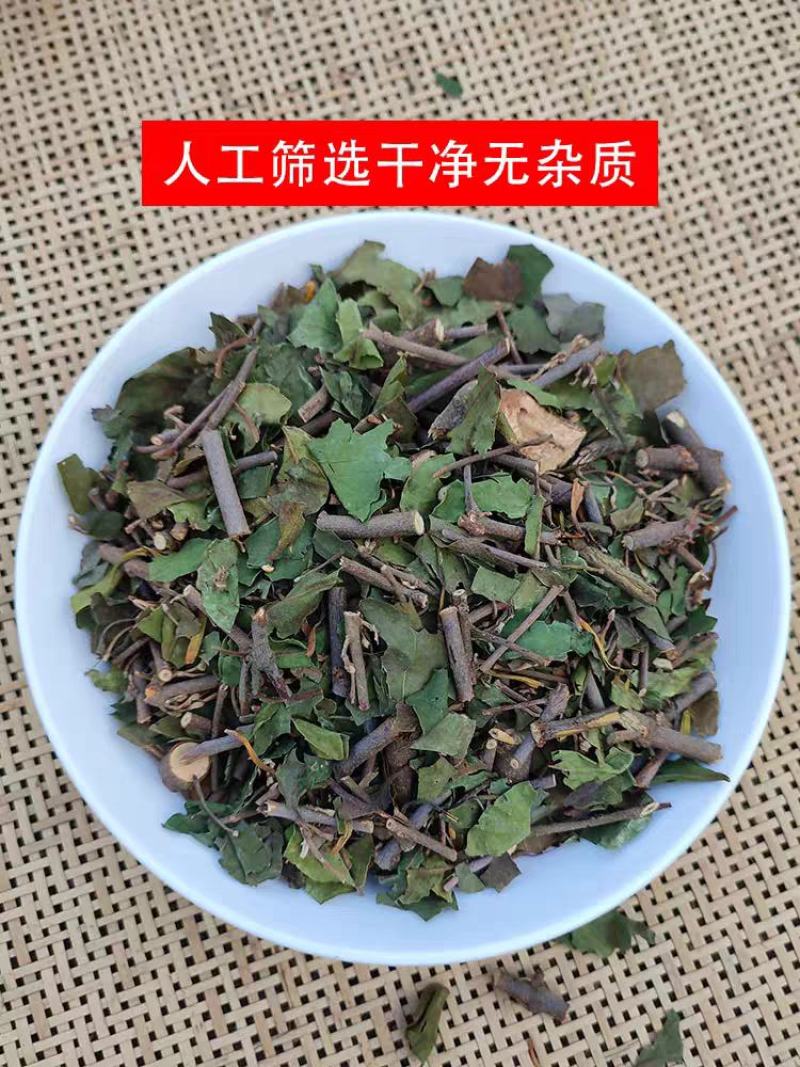 桑寄生药材500g广西深山桑寄生中药材新货桑寄生茶桑寄生