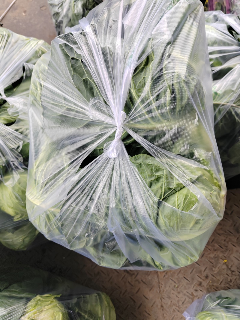 （牛尖包）湖北万亩基地种植牛尖包，包的紧，无病害，不黄叶