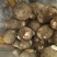 精品毛芋头芋头8520牛奶芋头电商超市商超