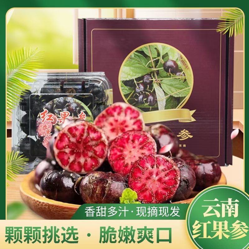 云南高山红果参