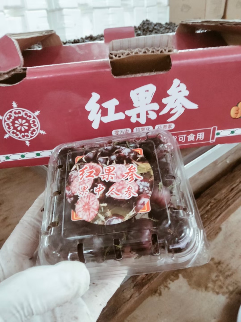 云南高山红果参