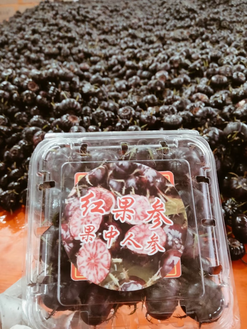 云南高山红果参