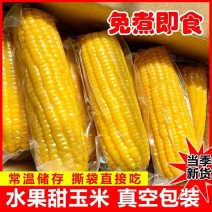 真空甜糯玉米开袋即食厂家直供品质保证欢迎来电咨询