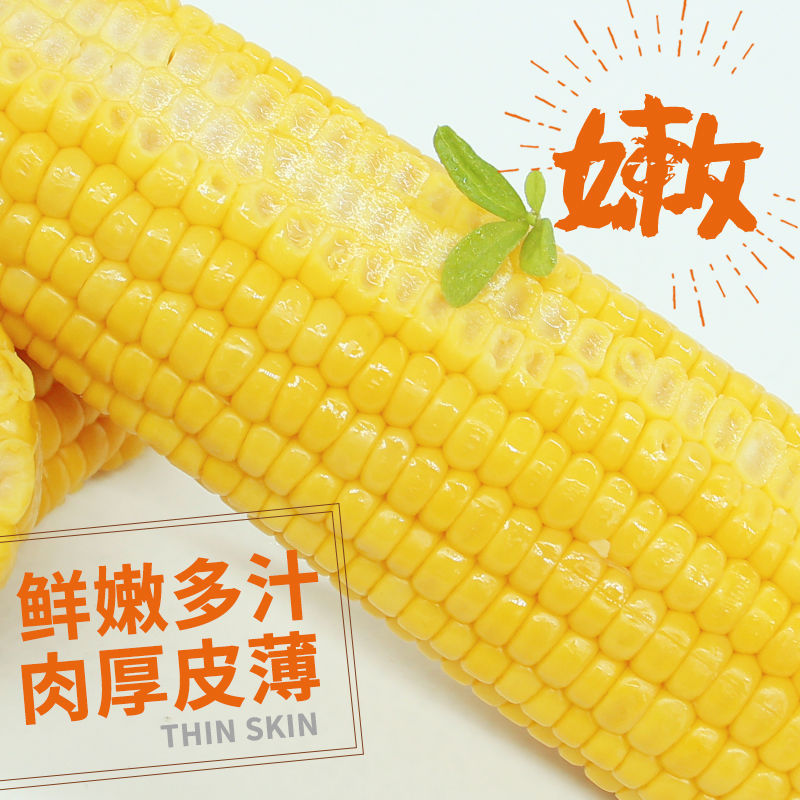 真空甜糯玉米开袋即食厂家直供品质保证欢迎来电咨询