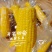 真空甜糯玉米开袋即食厂家直供品质保证欢迎来电咨询