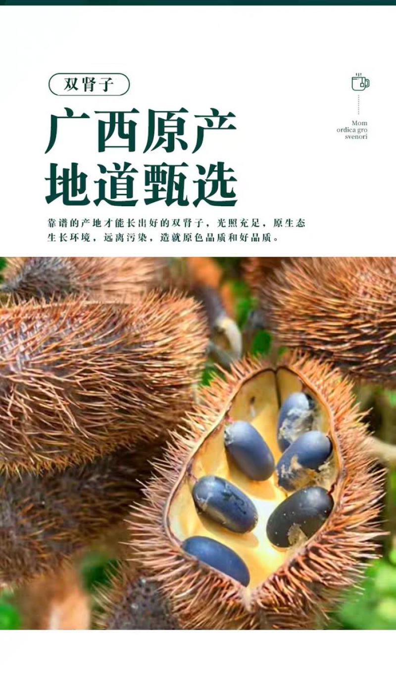 广西野生双肾子中药材500g草药材