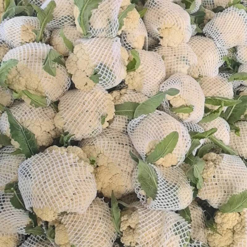 安徽花菜大量上市，对接各大市场，商超，一条龙服务。