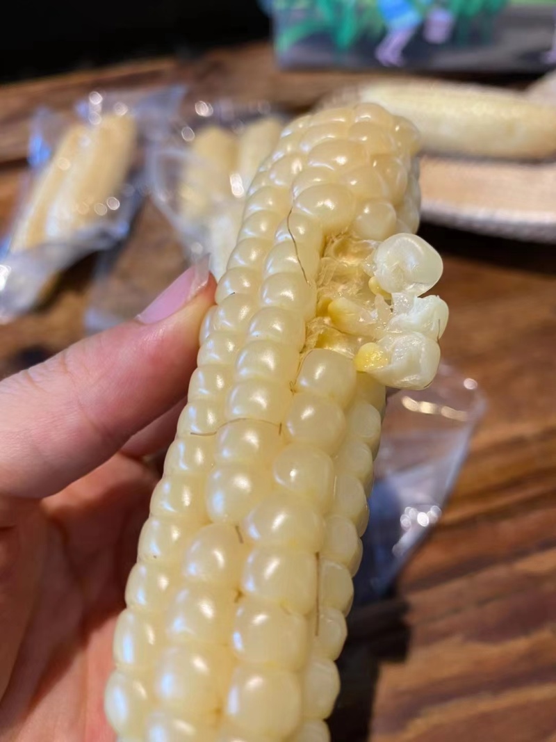 小拇指玉米