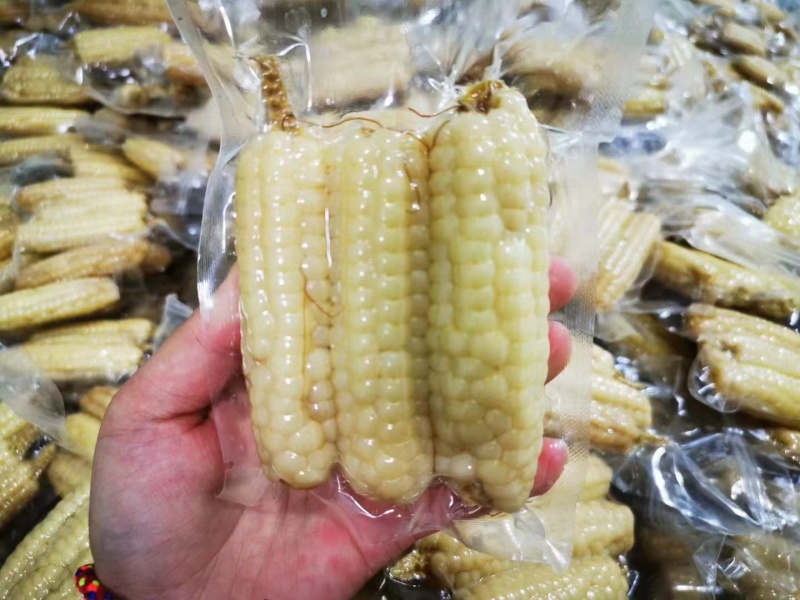 小拇指玉米