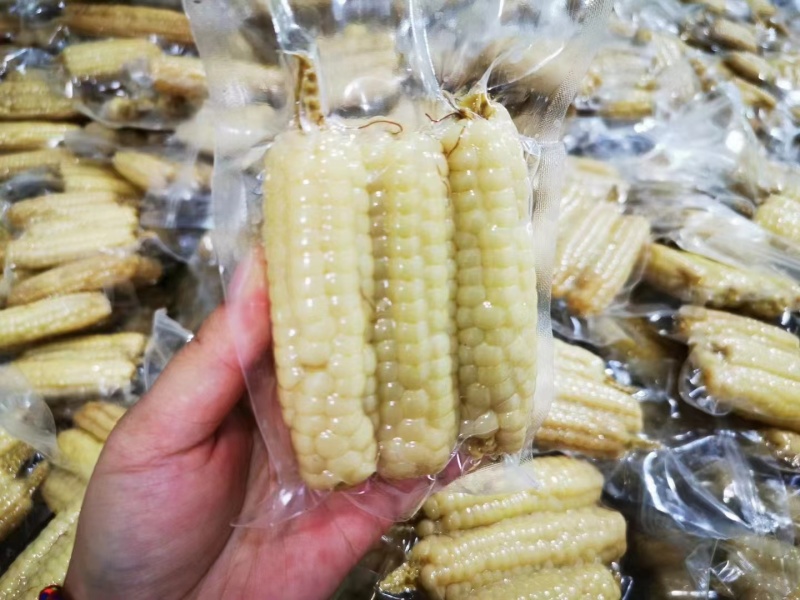 小拇指玉米