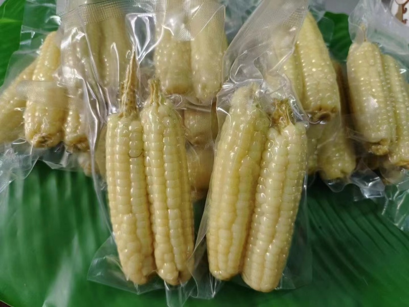 小拇指玉米