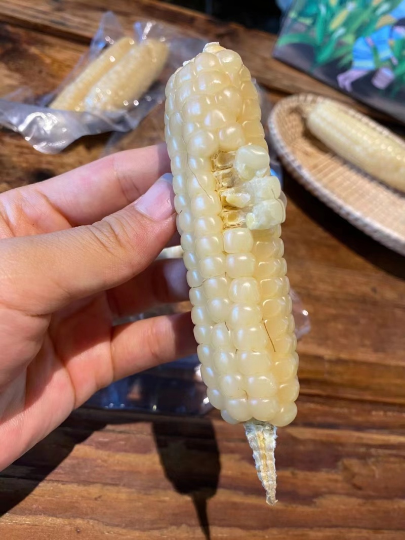 小拇指玉米