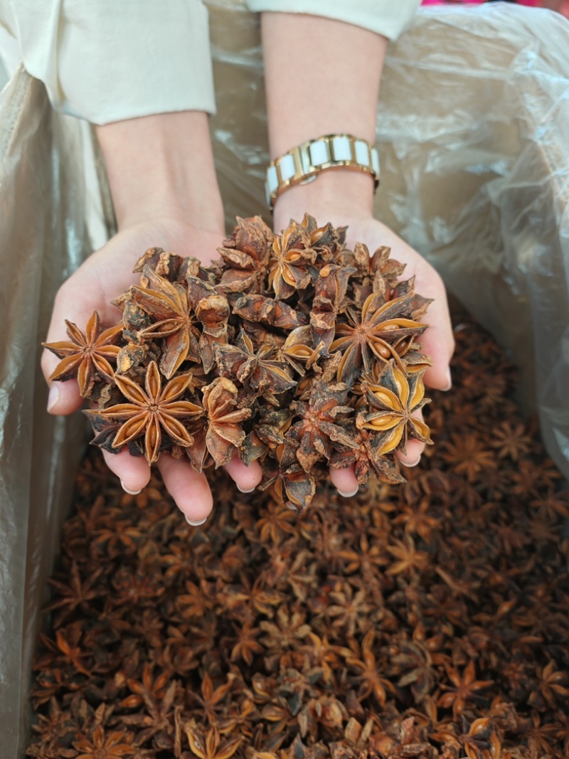 广西大红八角，无硫足干，产地直销，大量批发