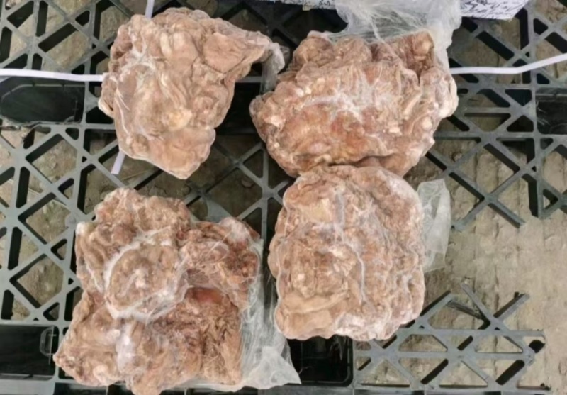 疆牧场去皮熟羊肉，蒙古国