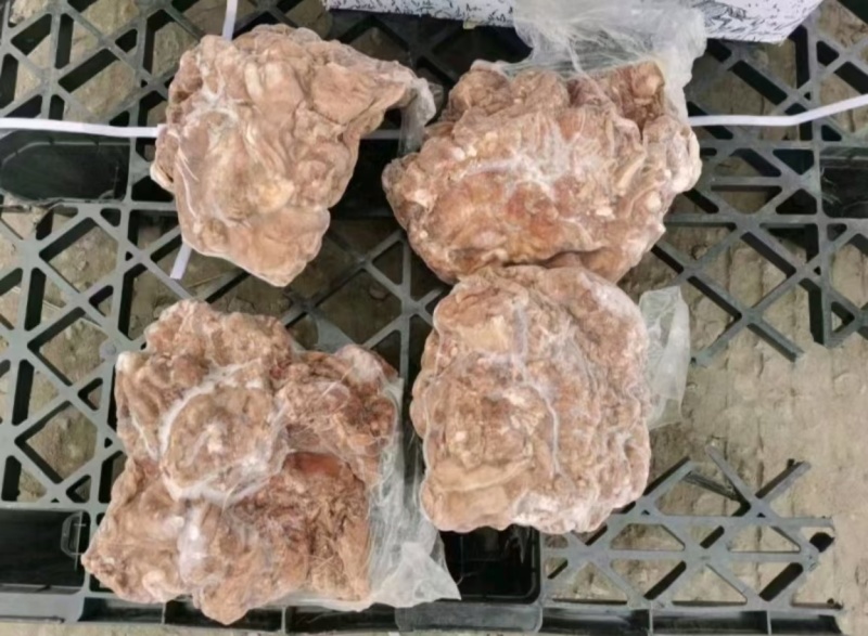 疆牧场去皮熟羊肉，蒙古国