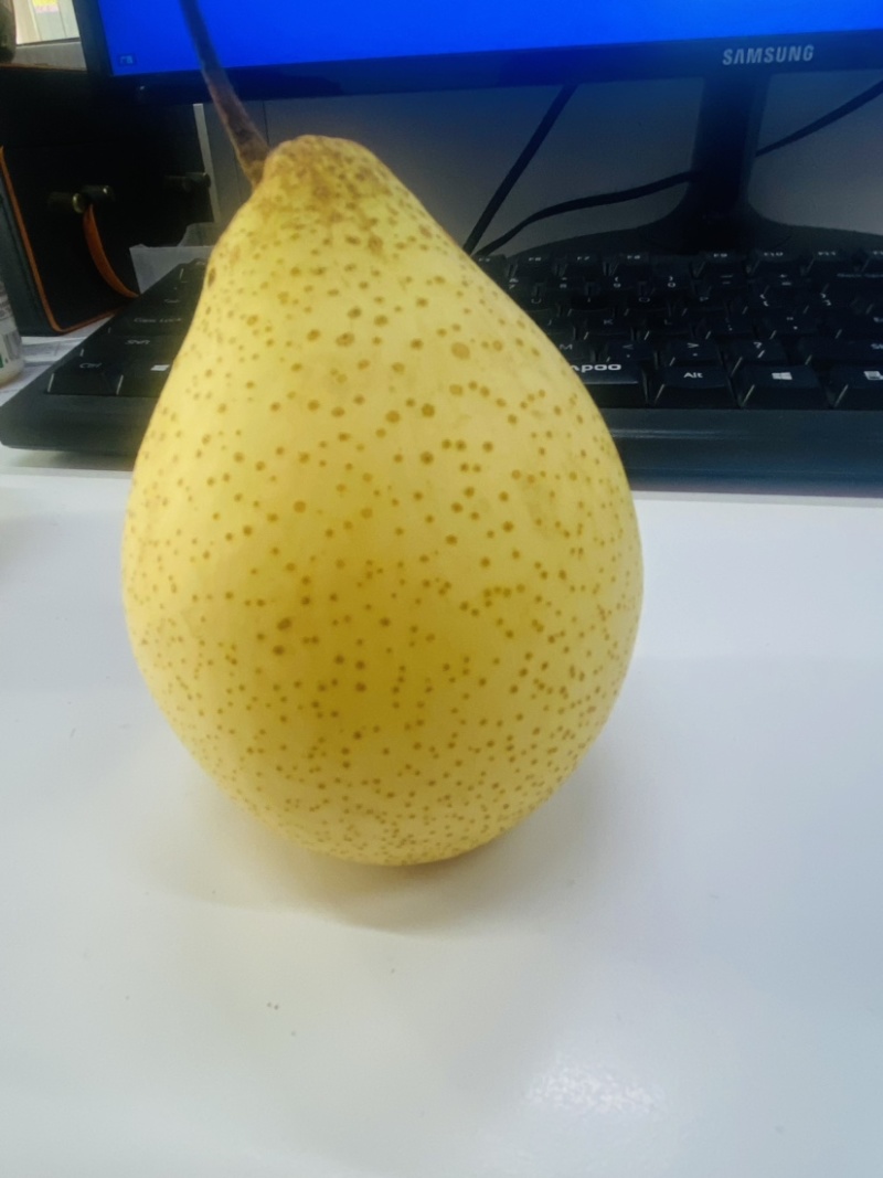 鸭梨