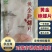 三鲸岛/黄金鲍螺片，对接全国市场，量大从优。