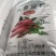 优质红薯淀粉厂家直发大量供应追求品质诚信为本