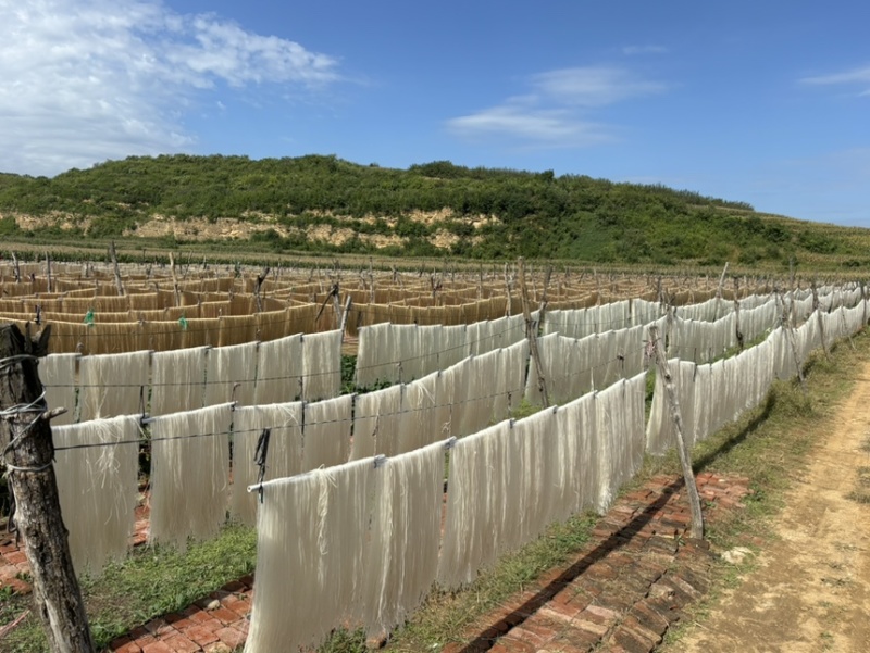 自制手工粉条土豆粉条红薯粉条