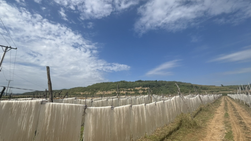 自制手工粉条土豆粉条红薯粉条