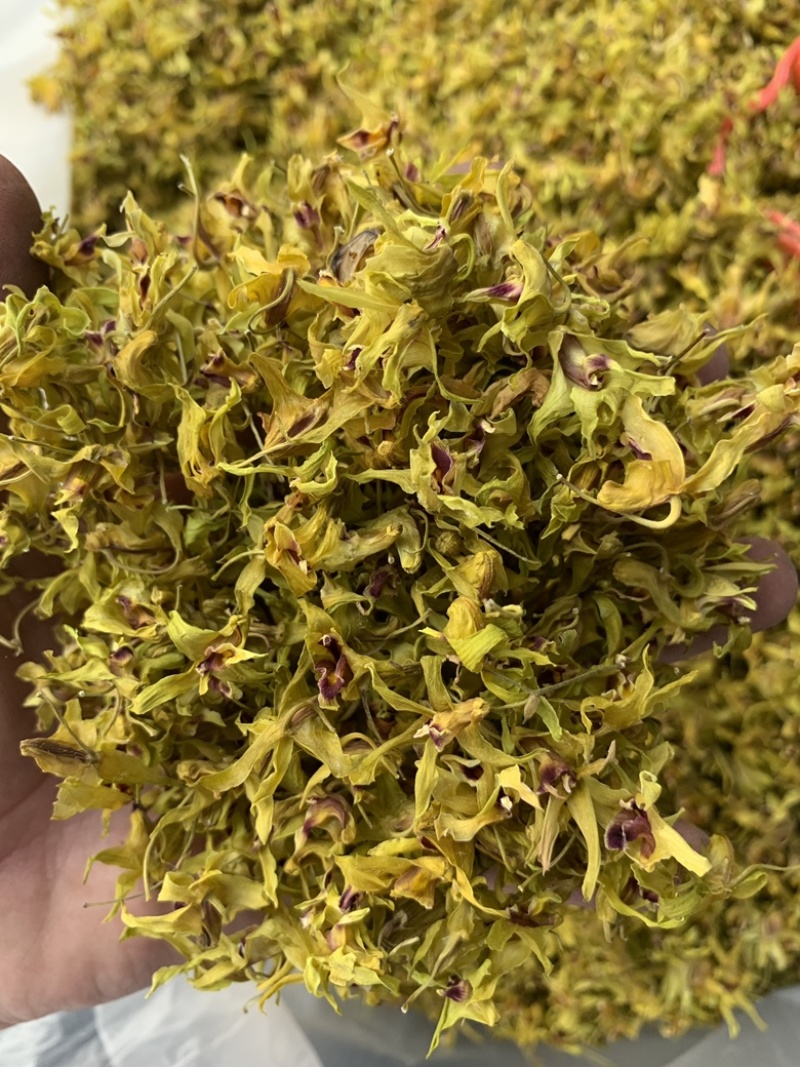 铁皮石斛花、自己基地自产自销、产地直发、新华