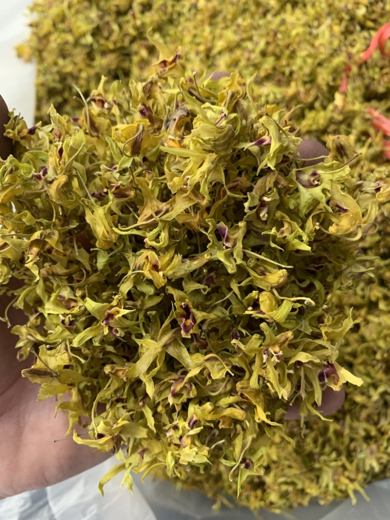 铁皮石斛花、自己基地自产自销、产地直发、新华