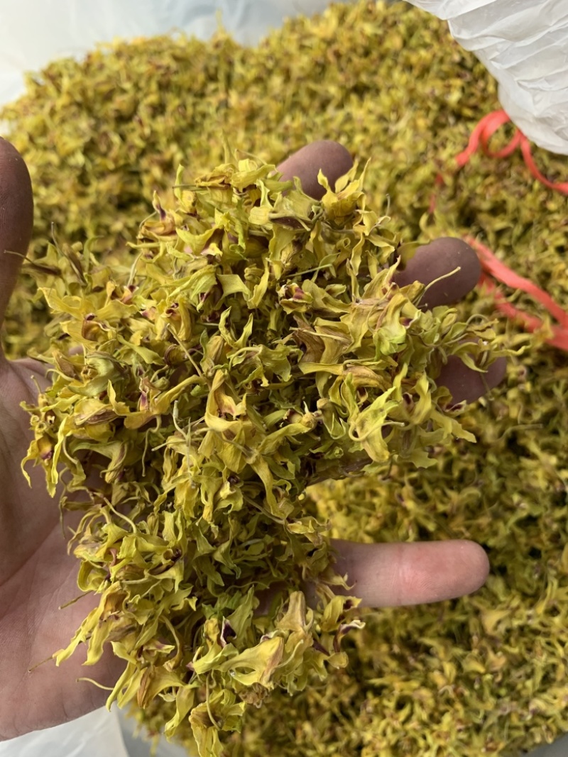 铁皮石斛花、自己基地自产自销、产地直发、新华