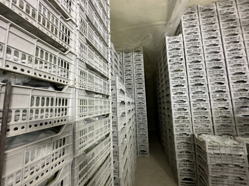 辽宁葡萄辽宁盖州阳光玫瑰冷库阳光玫瑰高中低档货都有