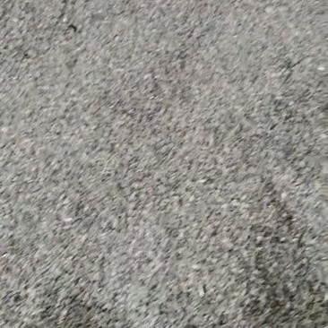 续断种子