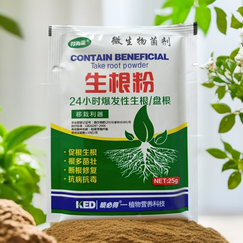 24小时爆炸性生根盘根，移栽利器，生根粉