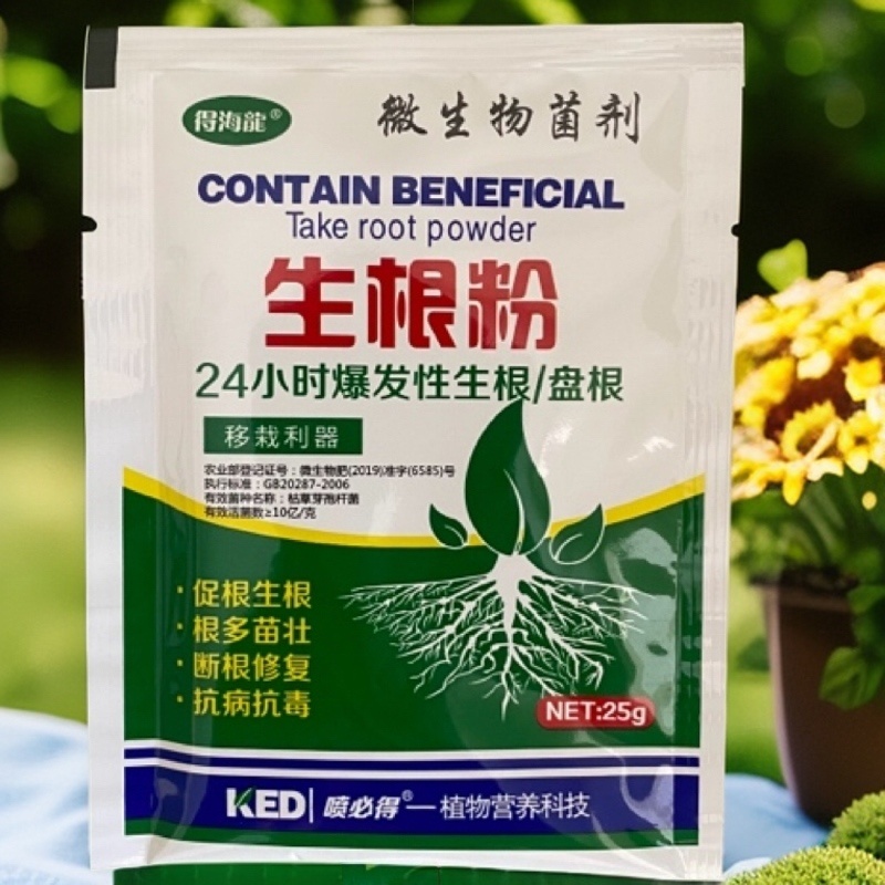 24小时爆炸性生根盘根，移栽利器，生根粉