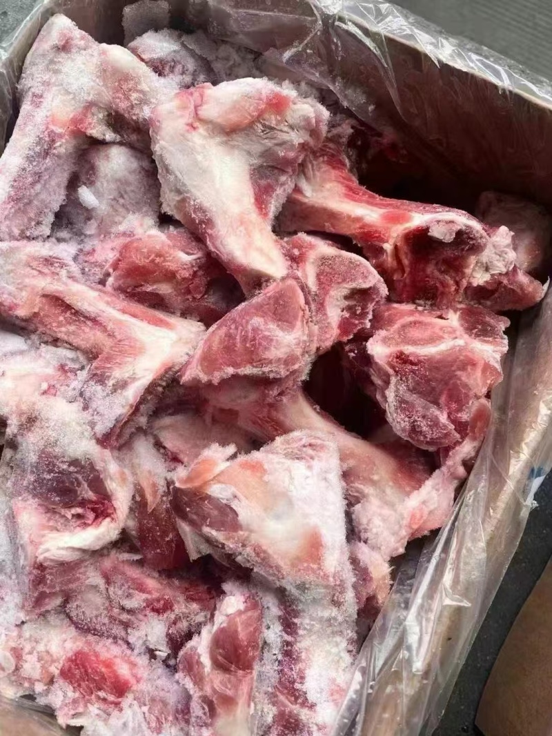 加拿大前腿骨