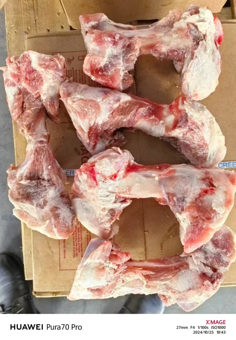加拿大前腿骨