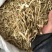 香橼香橼丝现货香橼干货香橼片香园香圆实拍发货