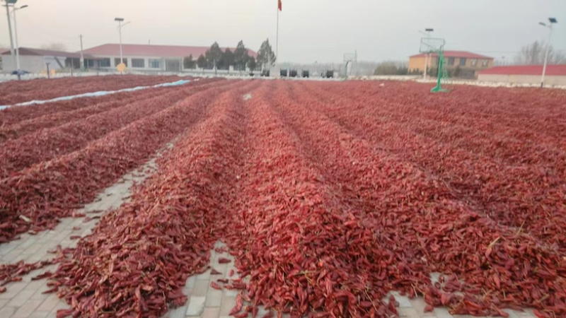 不辣的干辣椒不辣辣椒面红油上色辣椒粉韩式辣椒面北京红板椒