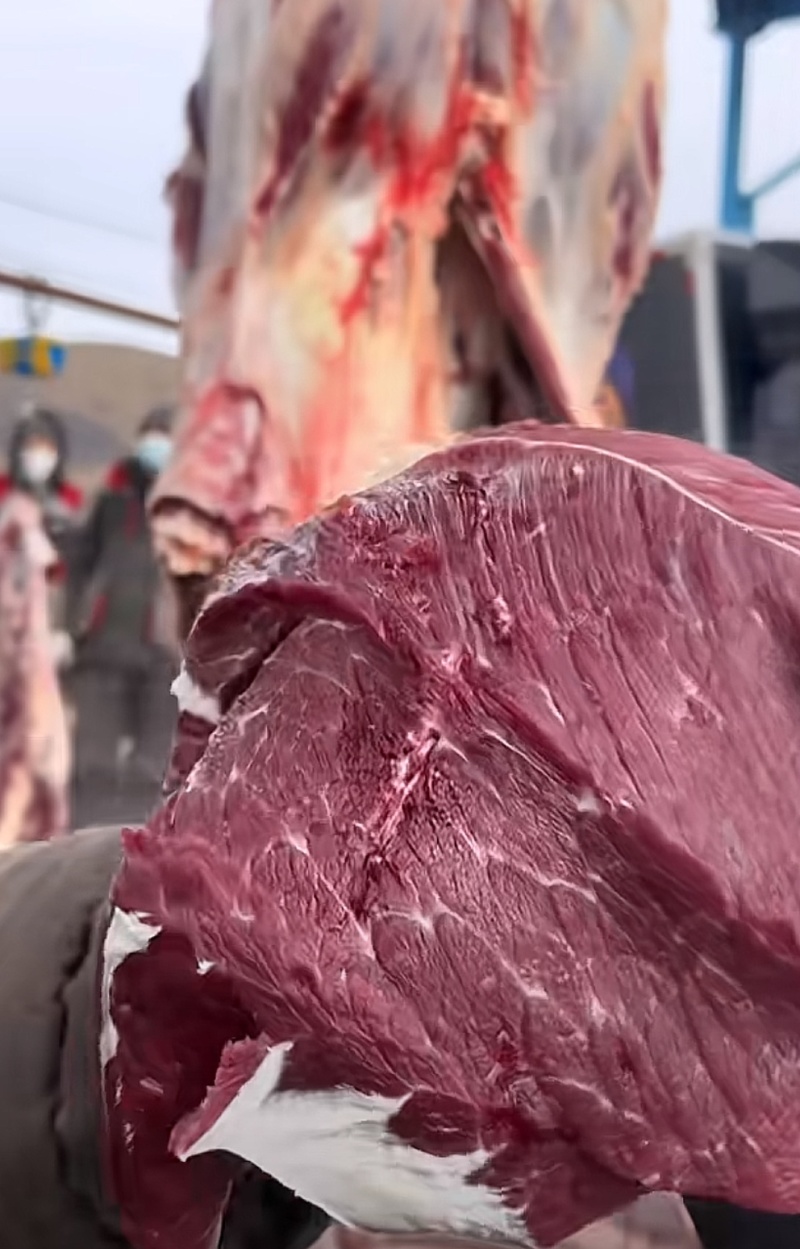 青海高原散养牦牛肉