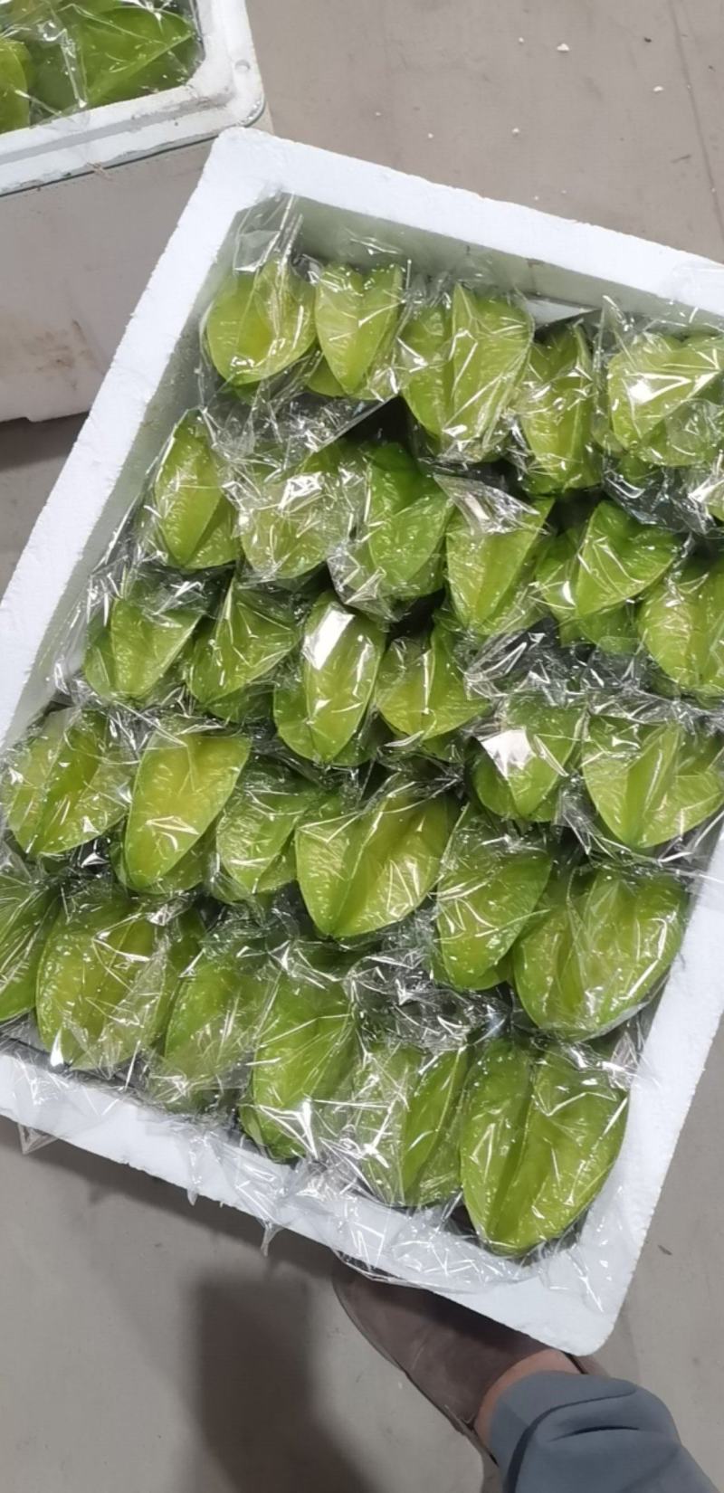 甜杨桃，广东杨桃，一手货源量大从优欢迎下单
