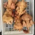 二级肉食鸡，单只4-5斤，去内脏，20公斤一袋10吨