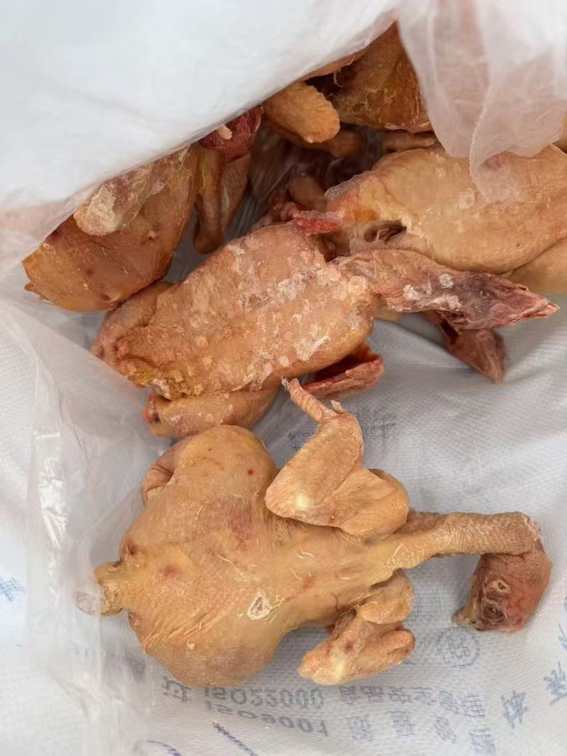 二级肉食鸡，单只4-5斤，去内脏，20公斤一袋10吨