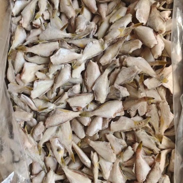 马面鱼10斤干冰剥皮鱼玻璃鱼扒皮鱼规格一斤95条左右