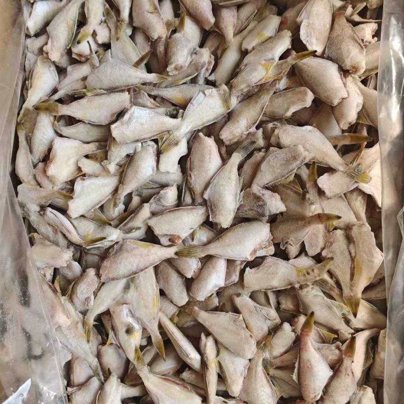 马面鱼10斤干冰剥皮鱼玻璃鱼扒皮鱼规格一斤95条左右